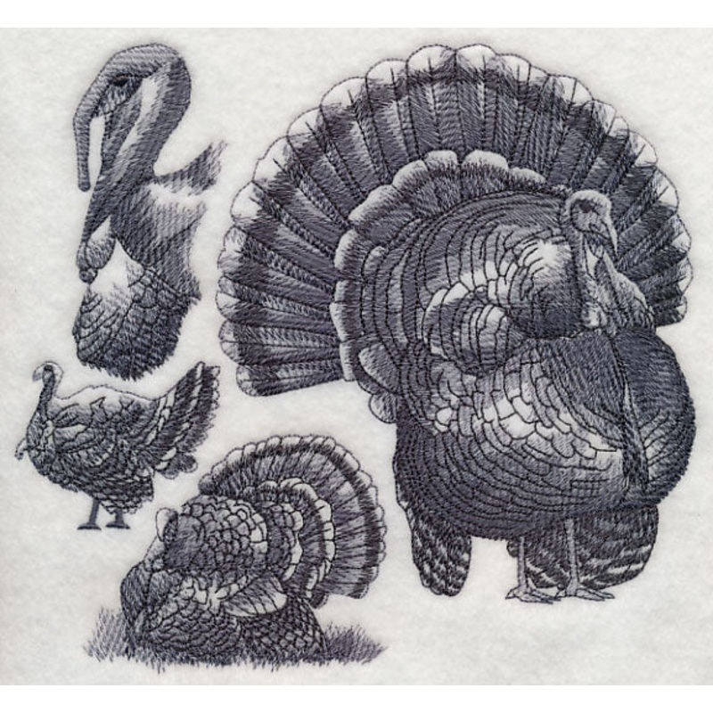 Turkey Sketch|7.16″ x 7.8″ / 181.86mm x 198.12mm|6.34″ x 6.9″ / 161.04mm x 175.26mm|5.85″ x 6.37″ / 148.59mm x 161.8mm|4.85″ x 5.28″ / 123.19mm x 134.11mm|All Sizes