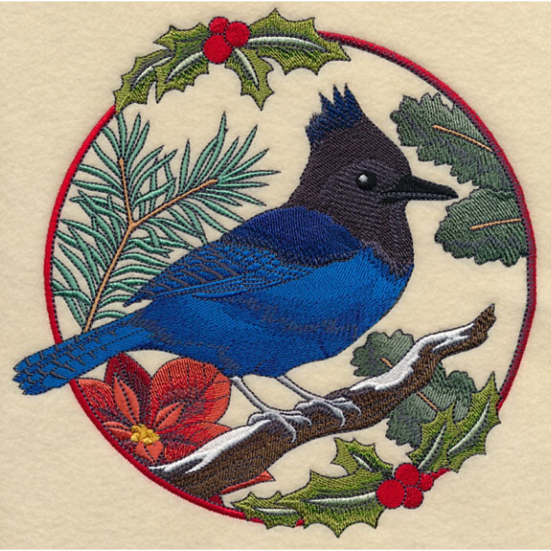 Steller’s Jay in Christmas Blooms