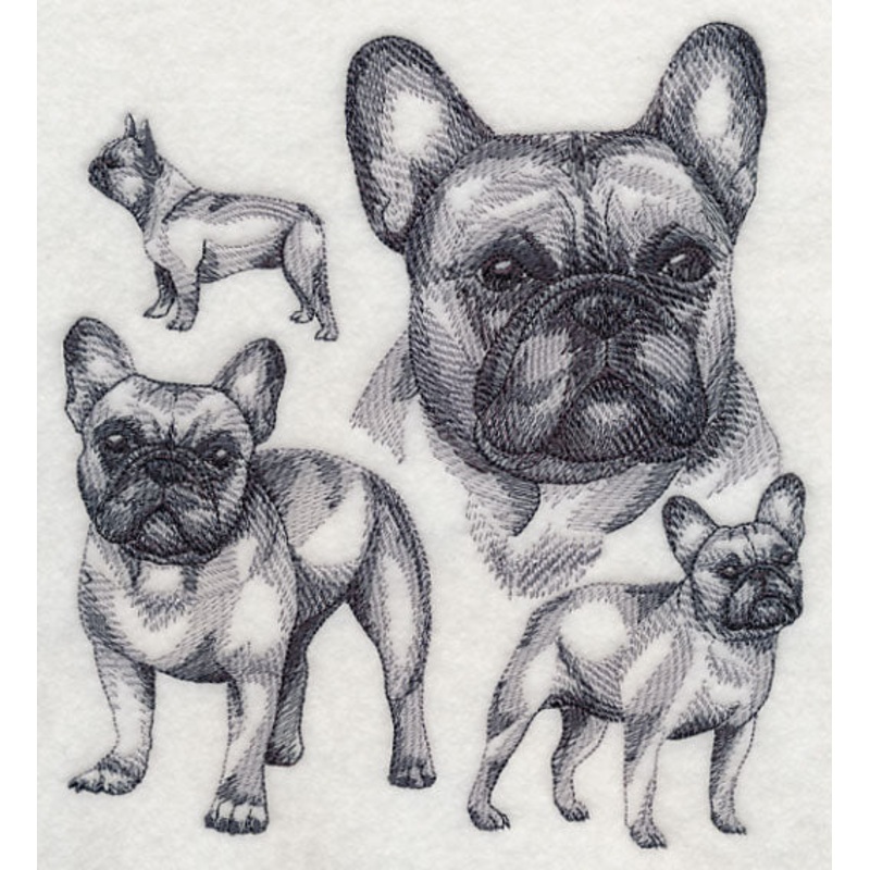 French Bulldog Sketch|7.63″ x 6.88″ / 193.71mm x 174.86mm|6.5″ x 5.87″ / 165.18mm x 149.08mm|5.38″ x 4.85″ / 136.59mm x 123.24mm|All Sizes