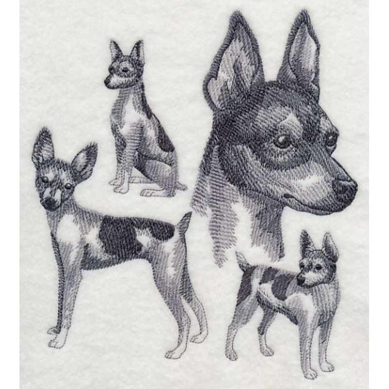 Toy Fox Terrier Sketch|7.8″ x 6.87″ / 198.16mm x 174.56mm|6.91″ x 6.09″ / 175.42mm x 154.62mm|6.63″ x 5.84″ / 168.31mm x 148.33mm|5.49″ x 4.84″ / 139.35mm x 122.81mm|All Sizes
