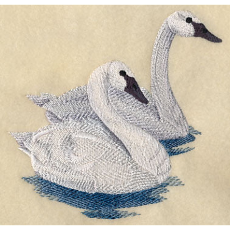 Trumpeter Swans on the Lake|4.85″ x 4.91″ / 123.19mm x 124.71mm|3.81″ x 3.84″ / 96.77mm x 97.54mm|All Sizes