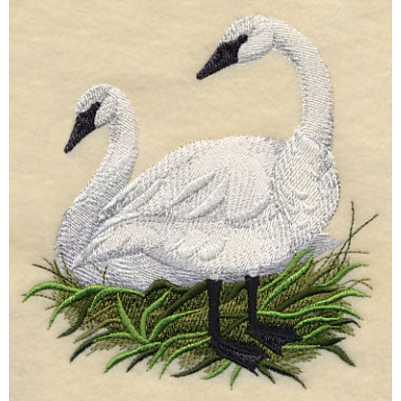 Trumpeter Swans on the Shore|5.03″ x 4.84″ / 127.76mm x 122.94mm|3.85″ x 3.71″ / 97.79mm x 94.23mm|All Sizes