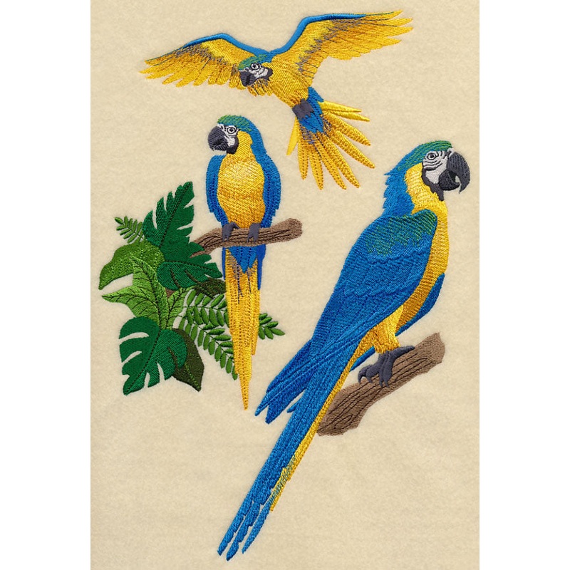 Blue-and-yellow Macaw Collage|11.75″ x 8.05″ / 298.45mm x 204.47mm|10.08″ x 6.91″ / 256.14mm x 175.39mm|8.5″ x 5.83″ / 215.98mm x 147.97mm|7.8″ x 5.35″ / 198.1mm x 135.78mm|6.85″ x 4.7″ / 173.95mm x 119.29mm|All Sizes