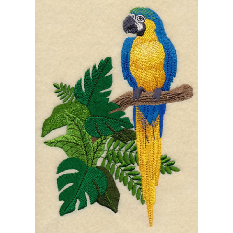 Blue-and-yellow Macaw in the Tropics