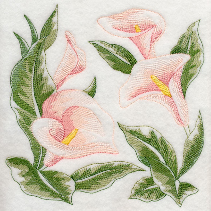 Calla Lily Sketch|7.79″ x 7.79″ / 197.87mm x 197.87mm|6.89″ x 6.9″ / 175.01mm x 175.26mm|5.84″ x 5.84″ / 148.34mm x 148.34mm|4.85″ x 4.86″ / 123.19mm x 123.44mm|3.88″ x 3.88″ / 98.55mm x 98.55mm|All Sizes
