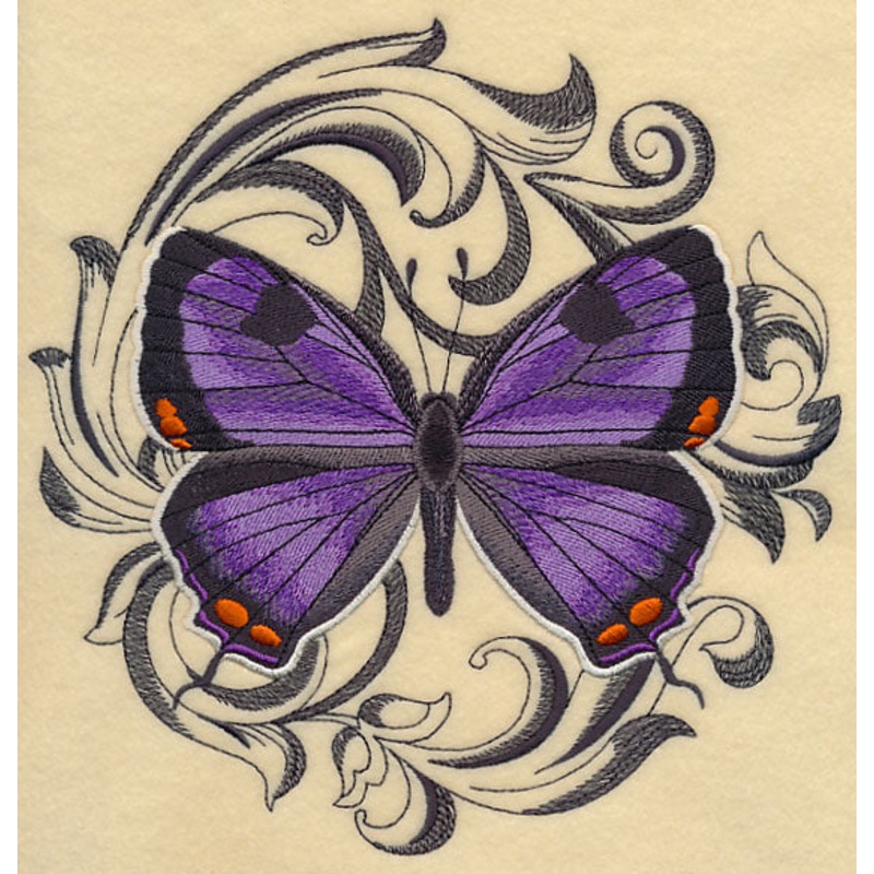 Colorado Hairstreak with Baroque Background