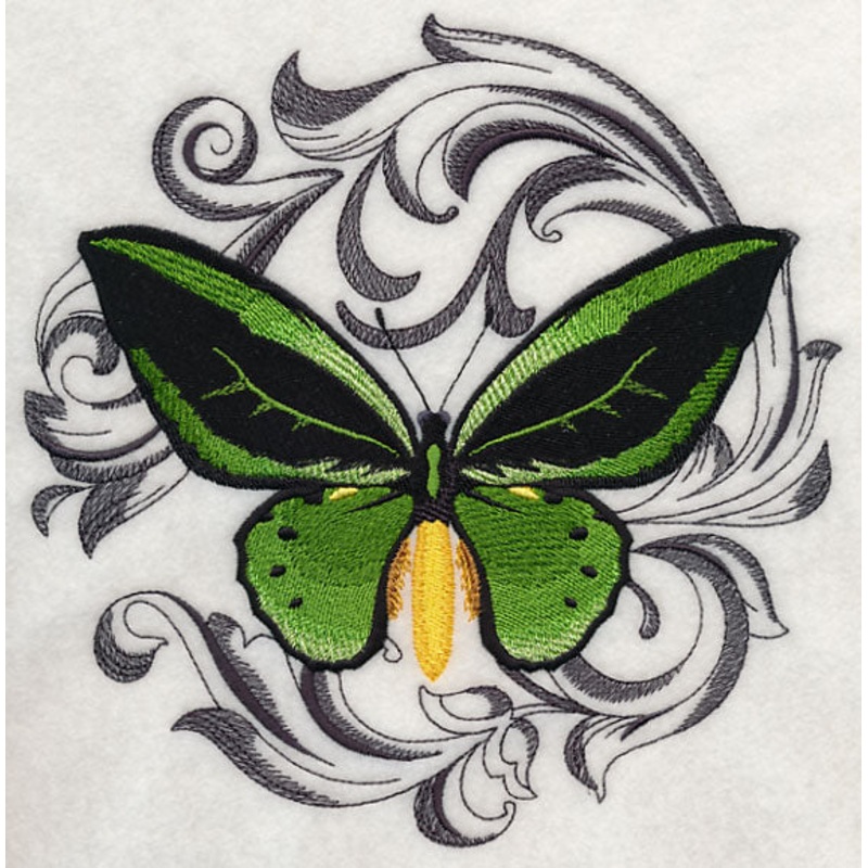 Common Green Birdwing with Baroque Background