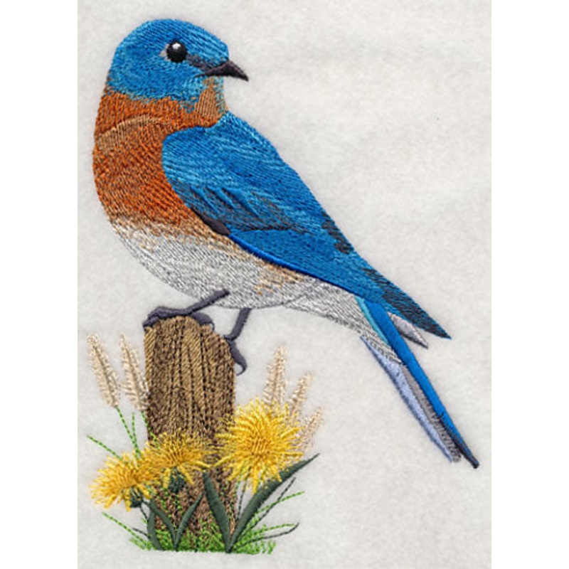 Eastern Bluebird at Rest|6.46″ x 4.77″ / 163.97mm x 121.21mm|3.66″ x 2.71″ / 93.02mm x 68.83mm|All Sizes
