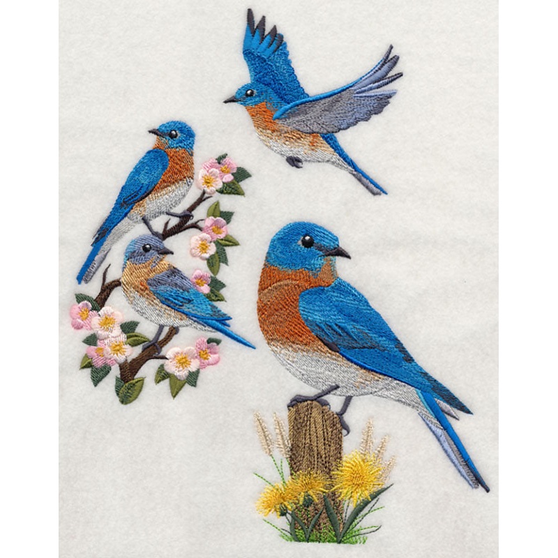 Eastern Bluebird Collage|10.7″ x 8.57″ / 271.71mm x 217.73mm|8.63″ x 6.91″ / 219.11mm x 175.64mm|7.78″ x 6.24″ / 197.65mm x 158.46mm|7.31″ x 5.87″ / 185.79mm x 148.97mm|6.07″ x 4.86″ / 154.07mm x 123.56mm|All Sizes