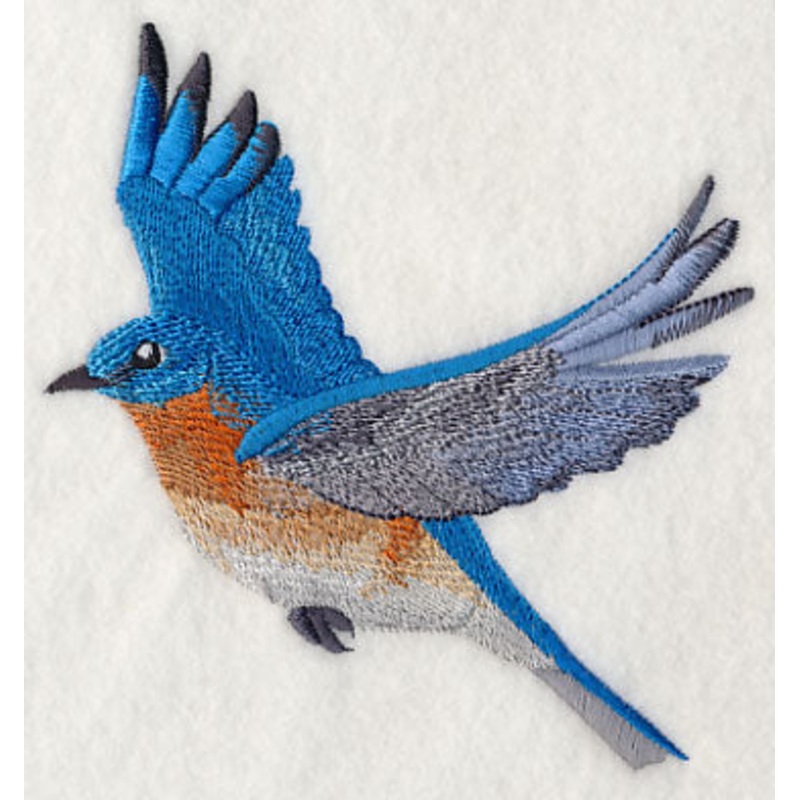 Eastern Bluebird in Flight|5.03″ x 4.85″ / 127.68mm x 123.24mm|3.87″ x 3.73″ / 98.19mm x 94.83mm|All Sizes