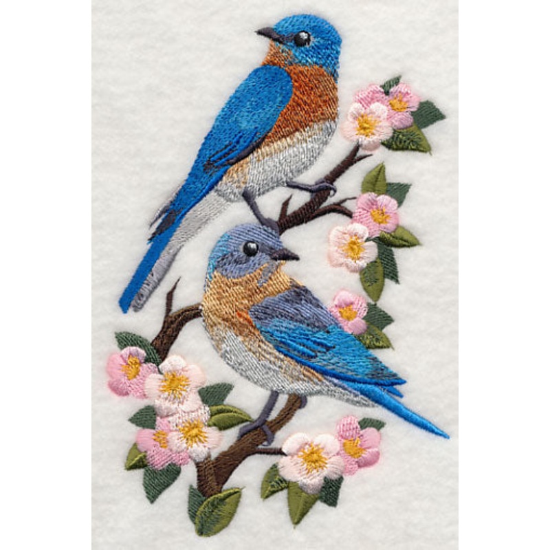 Eastern Bluebirds and Blossoms