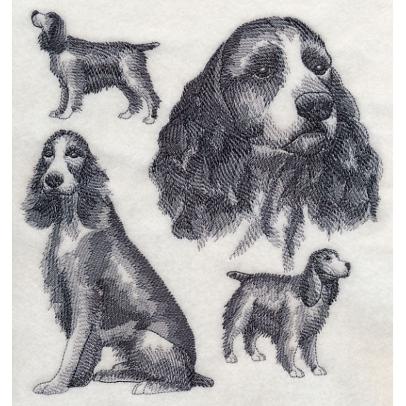 English Springer Spaniel Sketch (Docked Tail)