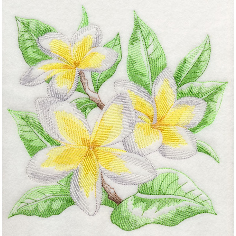 Frangipani Sketch|7.78″ x 7.76″ / 197.61mm x 197.1mm|6.88″ x 6.86″ / 174.75mm x 174.24mm|5.85″ x 5.83″ / 148.59mm x 148.08mm|4.87″ x 4.85″ / 123.7mm x 123.19mm|3.86″ x 3.84″ / 98.04mm x 97.54mm|All Sizes