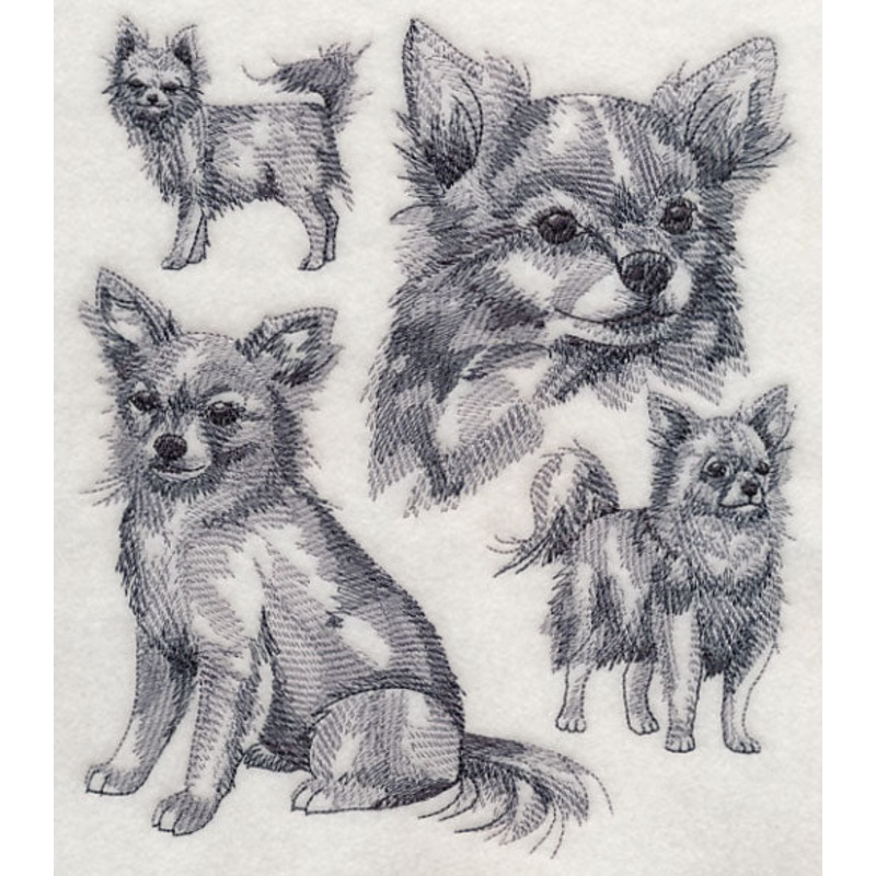 Long-haired Chihuahua Sketch|7.8″ x 6.88″ / 198.24mm x 174.86mm|6.64″ x 5.85″ / 168.6mm x 148.52mm|5.5″ x 4.84″ / 139.81mm x 122.82mm|All Sizes