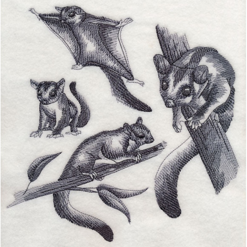 Sugar Glider Sketch|7.79″ x 7.74″ / 197.91mm x 196.63mm|6.9″ x 6.87″ / 175.33mm x 174.49mm|5.85″ x 5.82″ / 148.68mm x 147.89mm|4.86″ x 4.84″ / 123.36mm x 122.94mm|All Sizes
