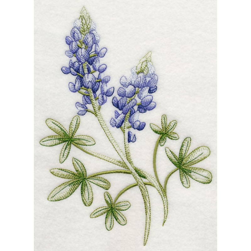 Breathtaking Bluebonnets 1|8.13″ x 5.83″ / 206.59mm x 148.13mm|6.77″ x 4.85″ / 171.83mm x 123.26mm|3.87″ x 2.78″ / 98.17mm x 70.51mm|All Sizes