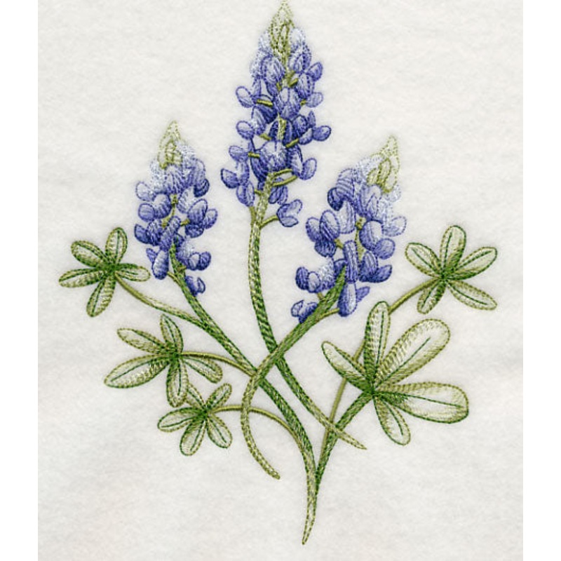 Breathtaking Bluebonnets 2|7.21″ x 5.83″ / 183.17mm x 148.19mm|5.96″ x 4.82″ / 151.38mm x 122.52mm|3.87″ x 3.13″ / 98.39mm x 79.61mm|All Sizes