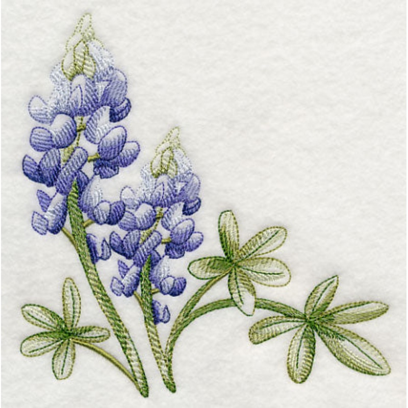 Breathtaking Bluebonnets Corner 1