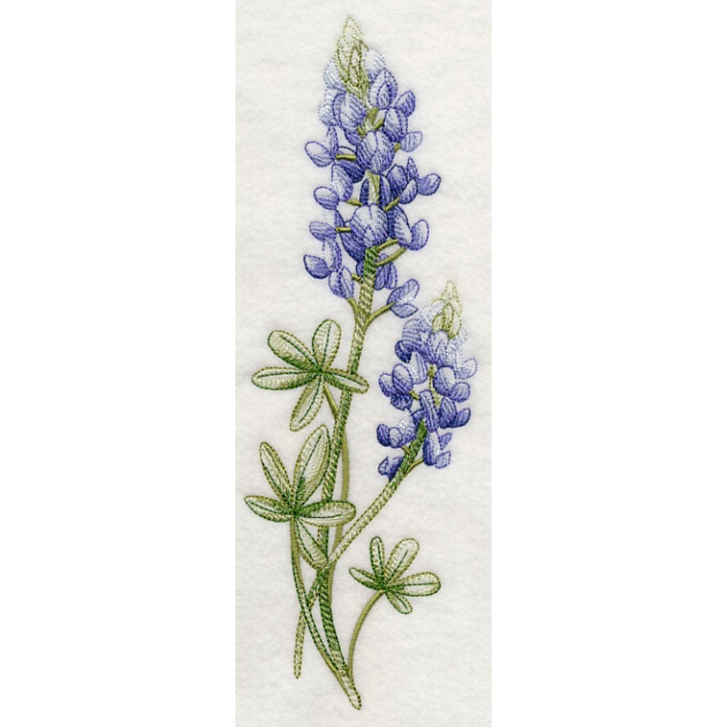 Breathtaking Bluebonnets Spray
