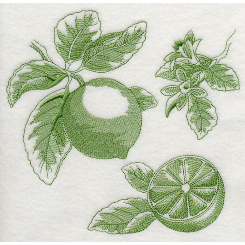 Lime Botanical (Toile)|7.51″ x 7.8″ / 190.87mm x 198.05mm|6.65″ x 6.9″ / 168.86mm x 175.18mm|5.64″ x 5.85″ / 143.14mm x 148.56mm|4.67″ x 4.85″ / 118.67mm x 123.17mm|3.71″ x 3.85″ / 94.19mm x 97.72mm|All Sizes