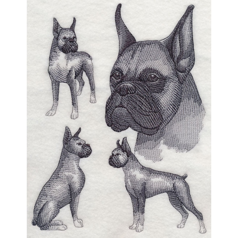 Boxer Sketch (Cropped Ears)|8.96″ x 6.9″ / 227.58mm x 175.25mm|7.59″ x 5.85″ / 192.87mm x 148.58mm|6.29″ x 4.85″ / 159.86mm x 123.22mm|All Sizes
