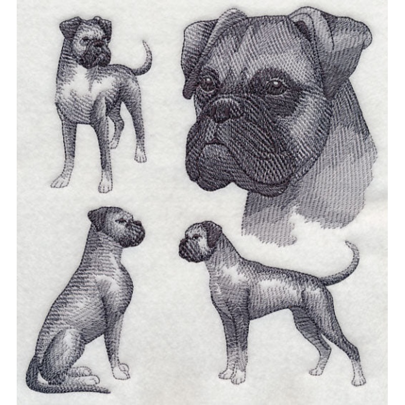 Boxer Sketch (Full Ears)|7.57″ x 6.9″ / 192.23mm x 175.24mm|6.41″ x 5.85″ / 162.92mm x 148.56mm|5.3″ x 4.84″ / 134.74mm x 122.84mm|All Sizes
