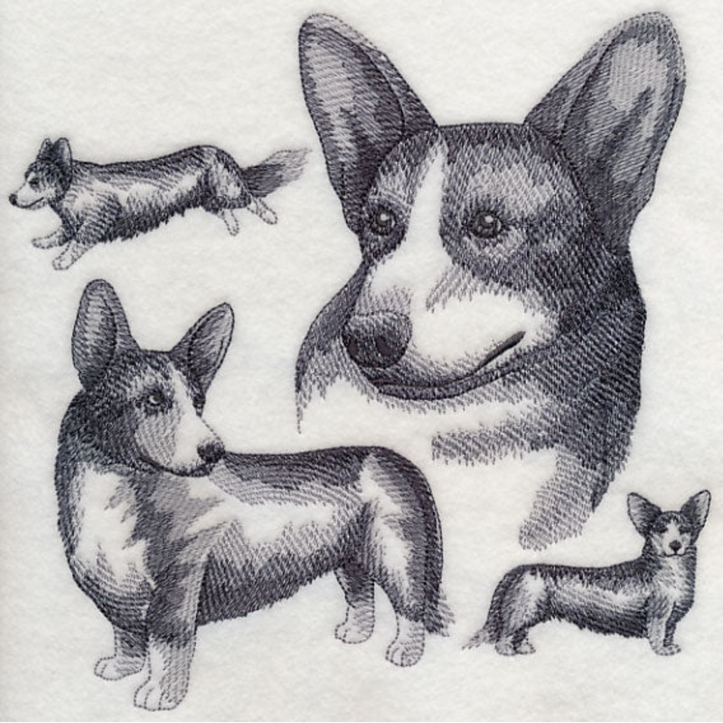 Cardigan Welsh Corgi Sketch|7.73″ x 7.8″ / 196.26mm x 198.18mm|6.9″ x 6.97″ / 175.25mm x 176.96mm|5.83″ x 5.89″ / 148.06mm x 149.52mm|4.83″ x 4.88″ / 122.68mm x 123.97mm|All Sizes