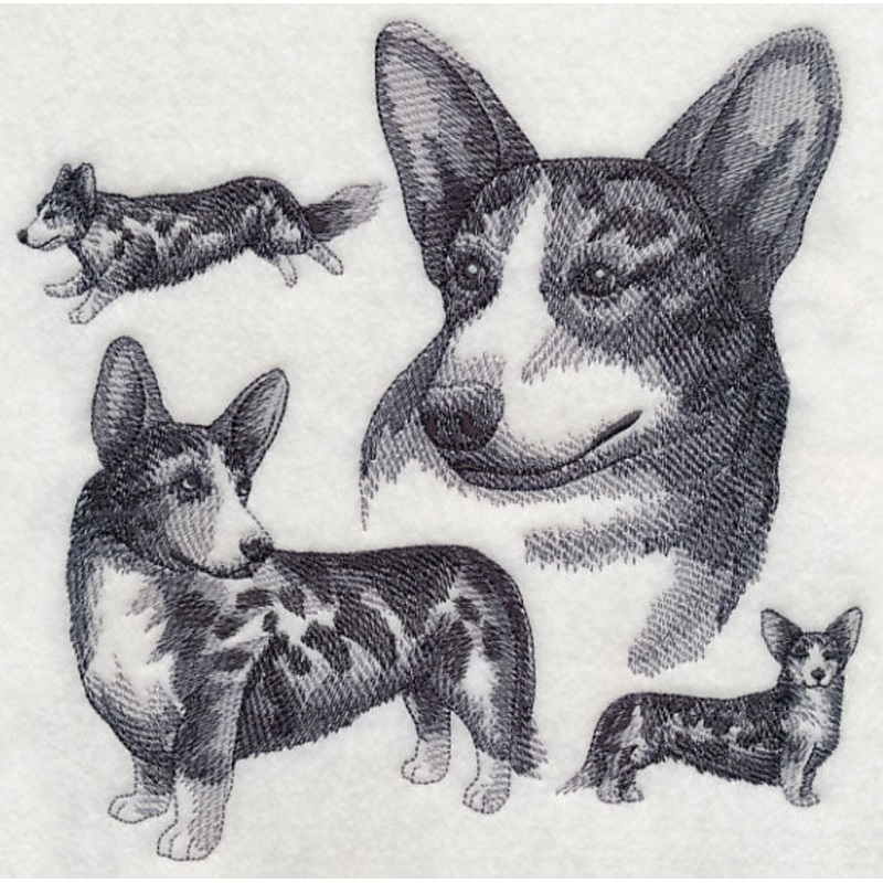 Cardigan Welsh Corgi Sketch – Merle