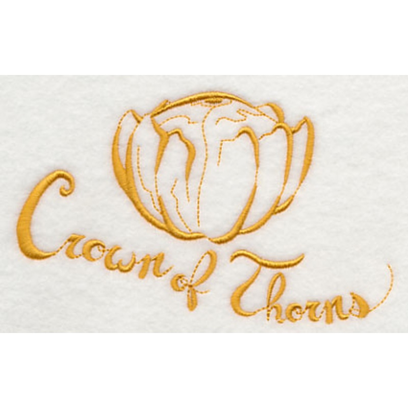 Crown of Thorns Squash|3.41″ x 5.5″ / 86.62mm x 139.79mm|2.39″ x 3.85″ / 60.69mm x 97.91mm|All Sizes