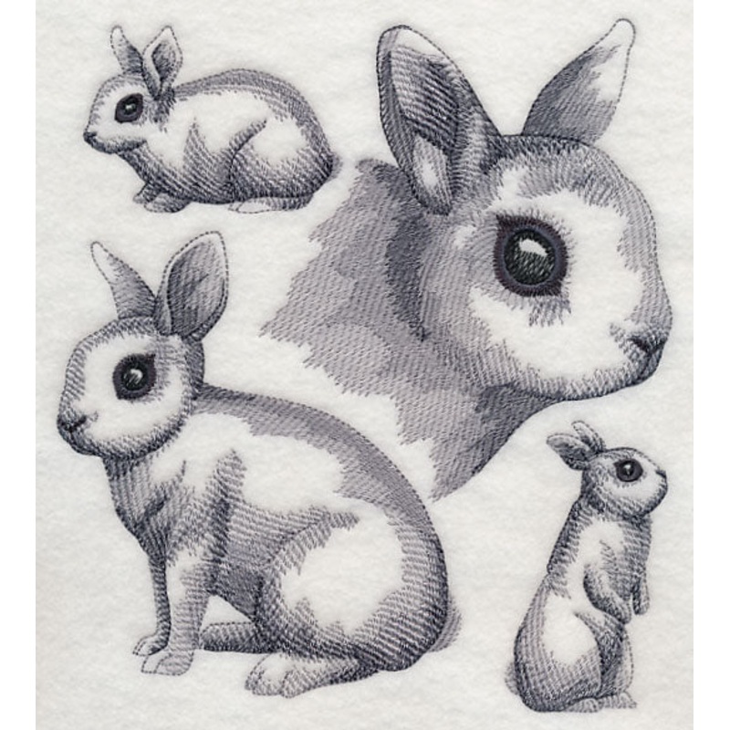 Dwarf Hotot Sketch|7.8″ x 6.89″ / 198.12mm x 175.11mm|6.61″ x 5.84″ / 167.97mm x 148.46mm|5.48″ x 4.85″ / 139.19mm x 123.07mm|All Sizes