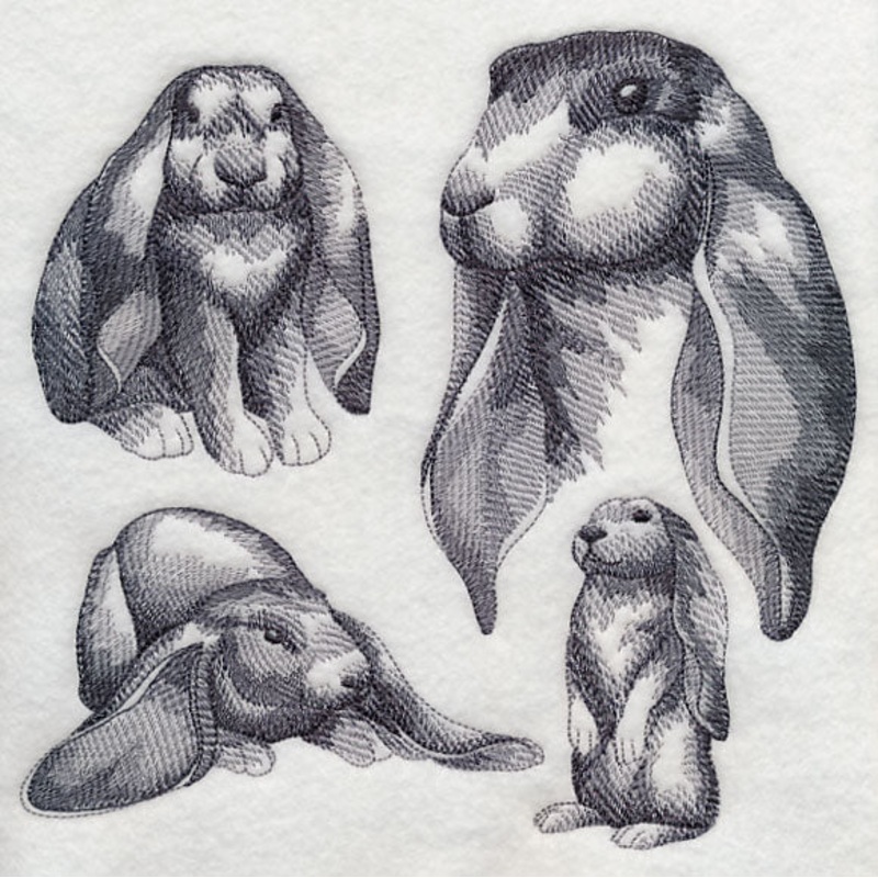 English Lop Sketch|7.59″ x 7.8″ / 192.68mm x 198.07mm|6.91″ x 7.1″ / 175.41mm x 180.32mm|5.84″ x 6.01″ / 148.31mm x 152.62mm|4.84″ x 4.98″ / 122.82mm x 126.41mm|All Sizes