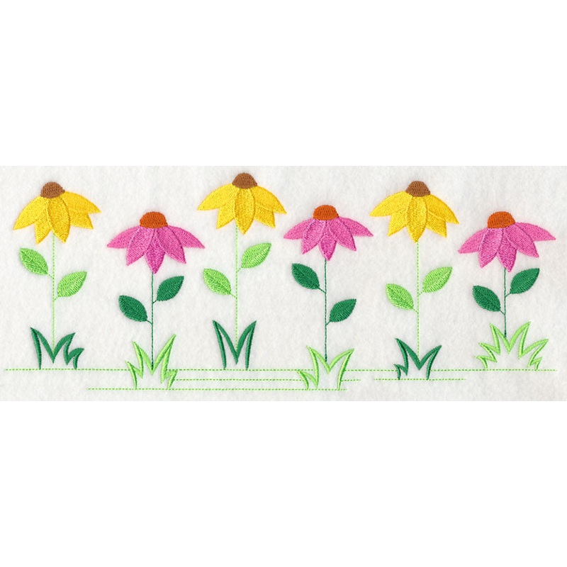 Country Charm Border – Coneflower