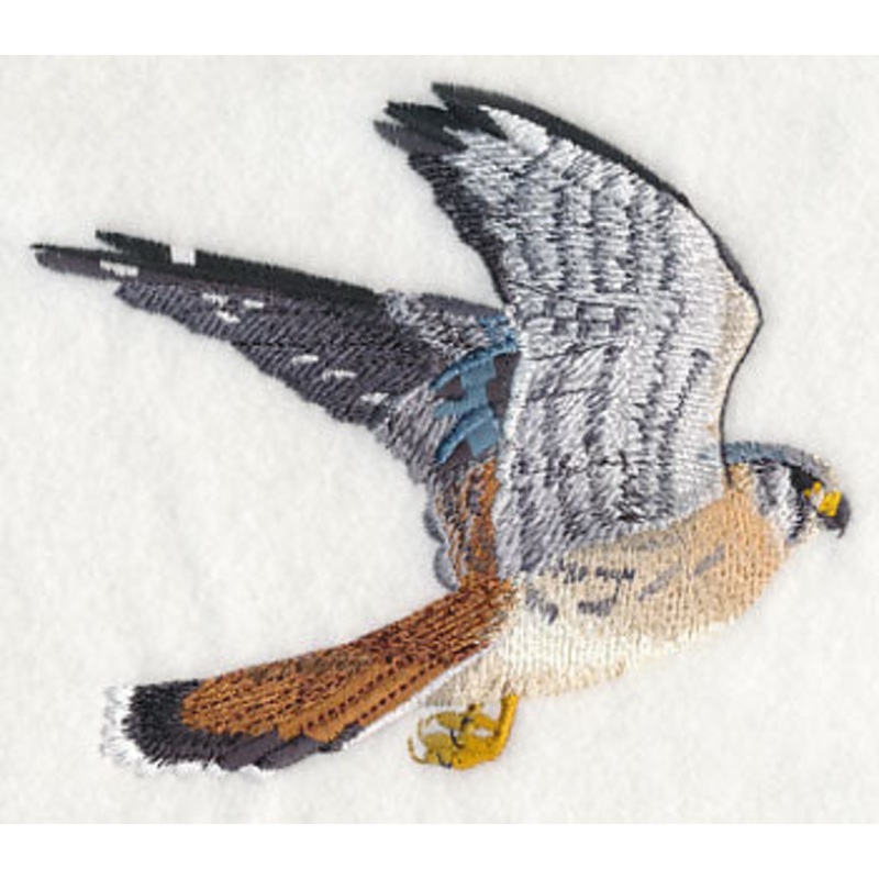 American Kestrel in Flight|3.97″ x 4.64″ / 100.8mm x 117.97mm|2.64″ x 3.09″ / 66.99mm x 78.38mm|All Sizes