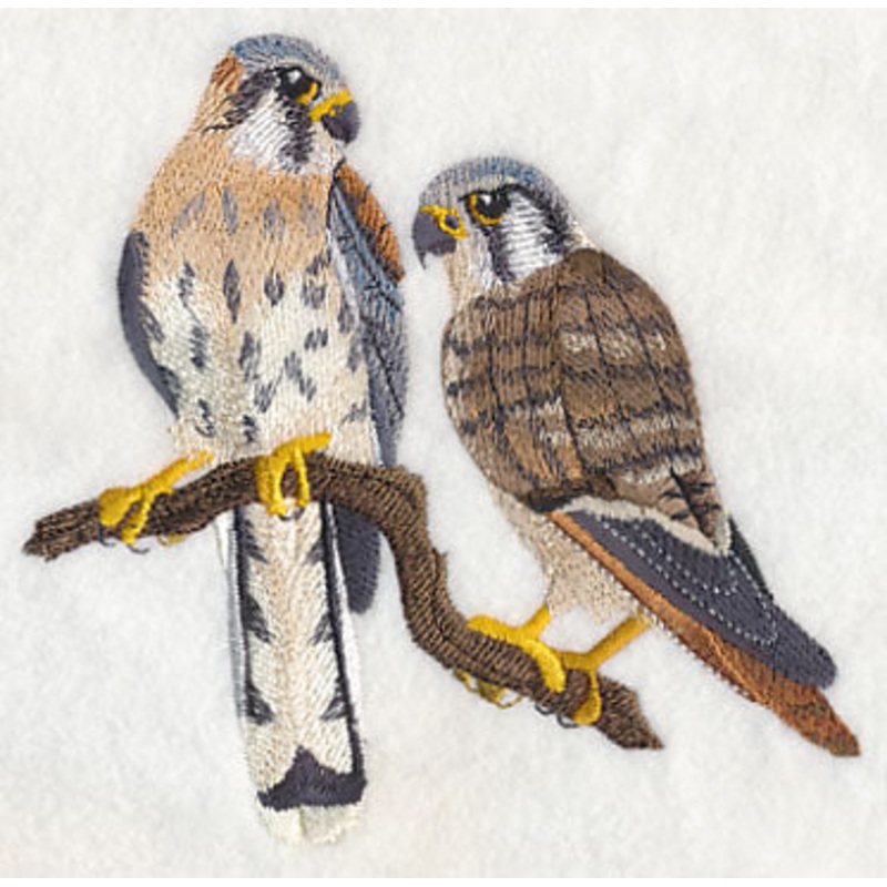 American Kestrel Pair|4.84″ x 4.99″ / 122.84mm x 126.85mm|3.21″ x 3.31″ / 81.55mm x 84.13mm|All Sizes