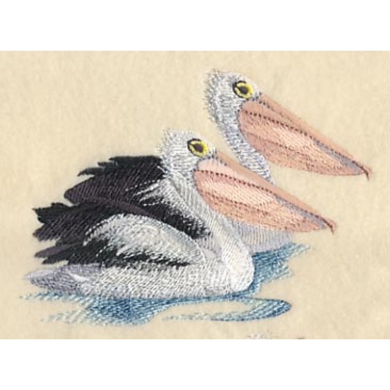 Australian Pelican Pair|3.37″ x 4.81″ / 85.64mm x 122.18mm|1.98″ x 2.82″ / 50.2mm x 71.63mm|All Sizes