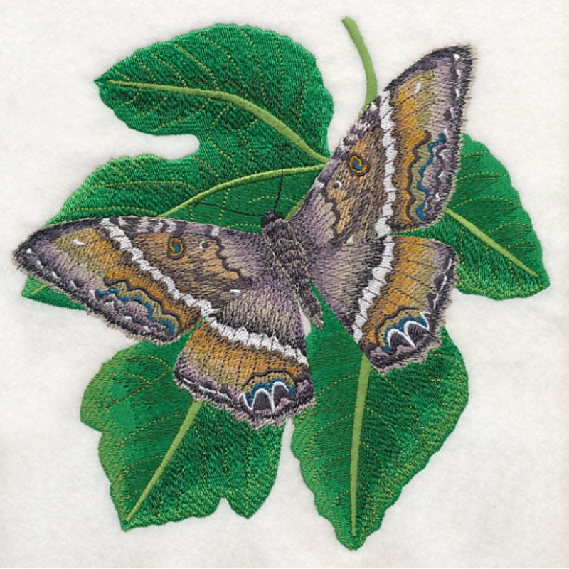 Black Witch Moth|7.54″ x 7.8″ / 191.52mm x 198.18mm|6.86″ x 7.09″ / 174.16mm x 180.15mm|5.85″ x 6.06″ / 148.69mm x 153.85mm|4.86″ x 5.02″ / 123.39mm x 127.59mm|All Sizes