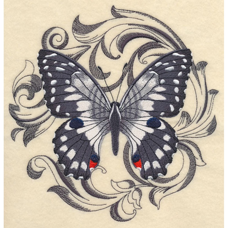 Chequered Swallowtail with Baroque Background