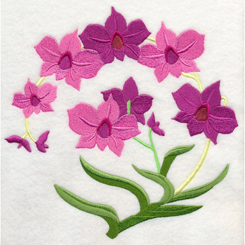 Cooktown Orchids|7.74″ x 7.8″ / 196.62mm x 198.1mm|6.9″ x 6.95″ / 175.31mm x 176.57mm|5.87″ x 5.91″ / 149.12mm x 150.23mm|4.86″ x 4.89″ / 123.37mm x 124.26mm|3.88″ x 3.9″ / 98.49mm x 99.14mm|All Sizes