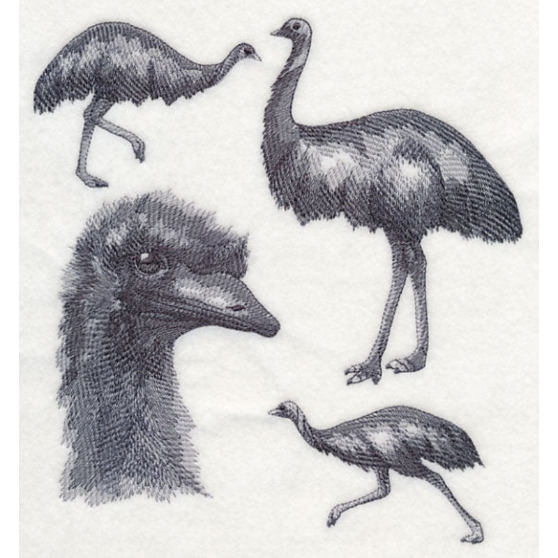 Emu Sketch|7.81″ x 7.4″ / 198.25mm x 187.86mm|7.27″ x 6.88″ / 184.63mm x 174.64mm|6.16″ x 5.82″ / 156.57mm x 147.93mm|5.13″ x 4.85″ / 130.37mm x 123.27mm|All Sizes