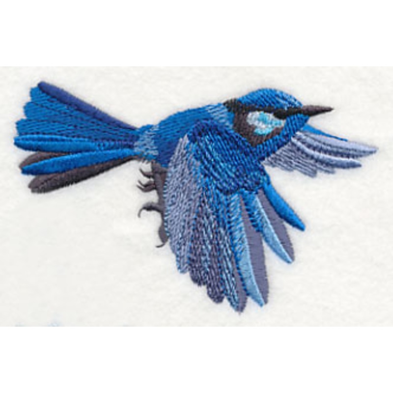 Splendid Fairy-wren in Flight|2.94″ x 4.3″ / 74.68mm x 109.22mm|1.67″ x 2.44″ / 42.42mm x 61.98mm|All Sizes