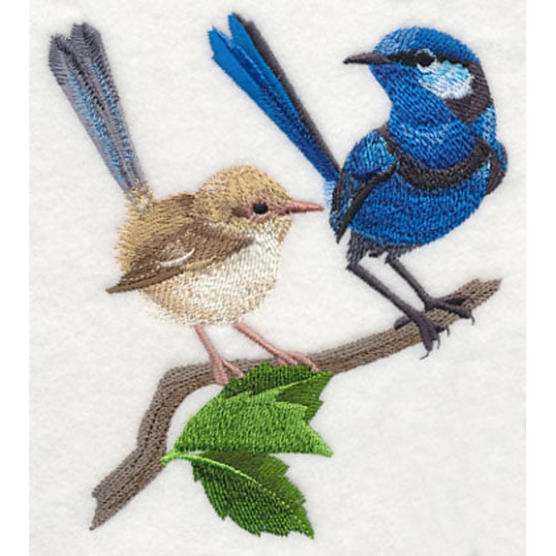 Splendid Fairy-wren Pair|5.66″ x 4.8″ / 143.76mm x 121.92mm|3.21″ x 2.72″ / 81.53mm x 69.09mm|All Sizes