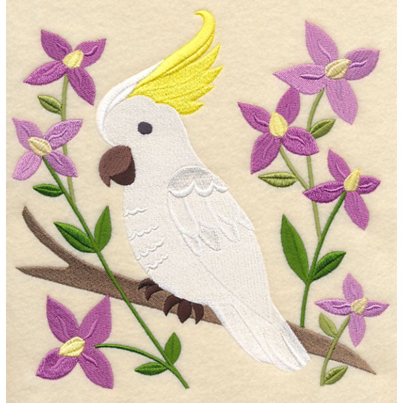 Sulphur-crested Cockatoo and Aniseed Boronia
