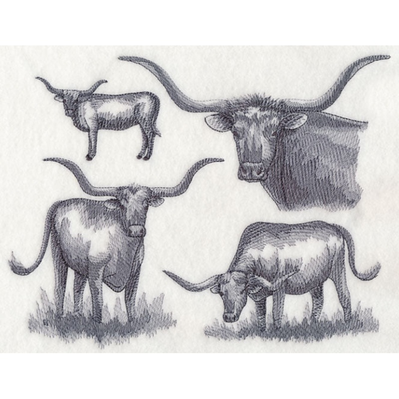 Texas Longhorn Sketch|6.9″ x 8.94″ / 175.18mm x 227.05mm|5.85″ x 7.58″ / 148.59mm x 192.64mm|4.86″ x 6.34″ / 123.56mm x 161.04mm|All Sizes