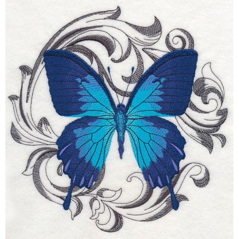 Ulysses Swallowtail with Baroque Background