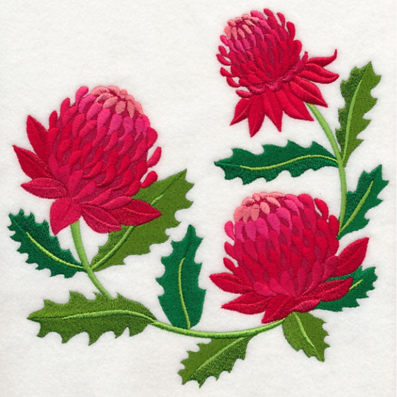 Waratah|7.8″ x 7.85″ / 198.07mm x 199.5mm|6.9″ x 6.94″ / 175.19mm x 176.33mm|5.88″ x 5.93″ / 149.34mm x 150.68mm|4.88″ x 4.93″ / 123.98mm x 125.1mm|3.86″ x 3.89″ / 98.13mm x 98.8mm|All Sizes