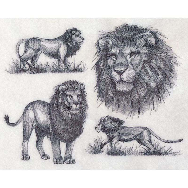 African Lion Sketch|6.85″ x 8.58″ / 174.08mm x 217.88mm|6.26″ x 7.8″ / 158.96mm x 198.11mm|5.85″ x 7.33″ / 148.68mm x 186.1mm|4.85″ x 6.07″ / 123.28mm x 154.13mm|All Sizes