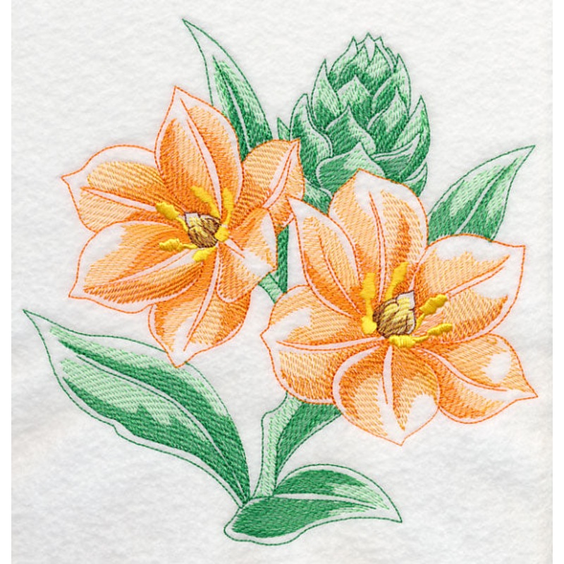 African Star Flower Beauty|7.8″ x 7.78″ / 198.12mm x 197.61mm|6.92″ x 6.9″ / 175.77mm x 175.26mm|5.87″ x 5.85″ / 149.1mm x 148.59mm|4.87″ x 4.86″ / 123.7mm x 123.44mm|3.9″ x 3.89″ / 99.06mm x 98.81mm|All Sizes