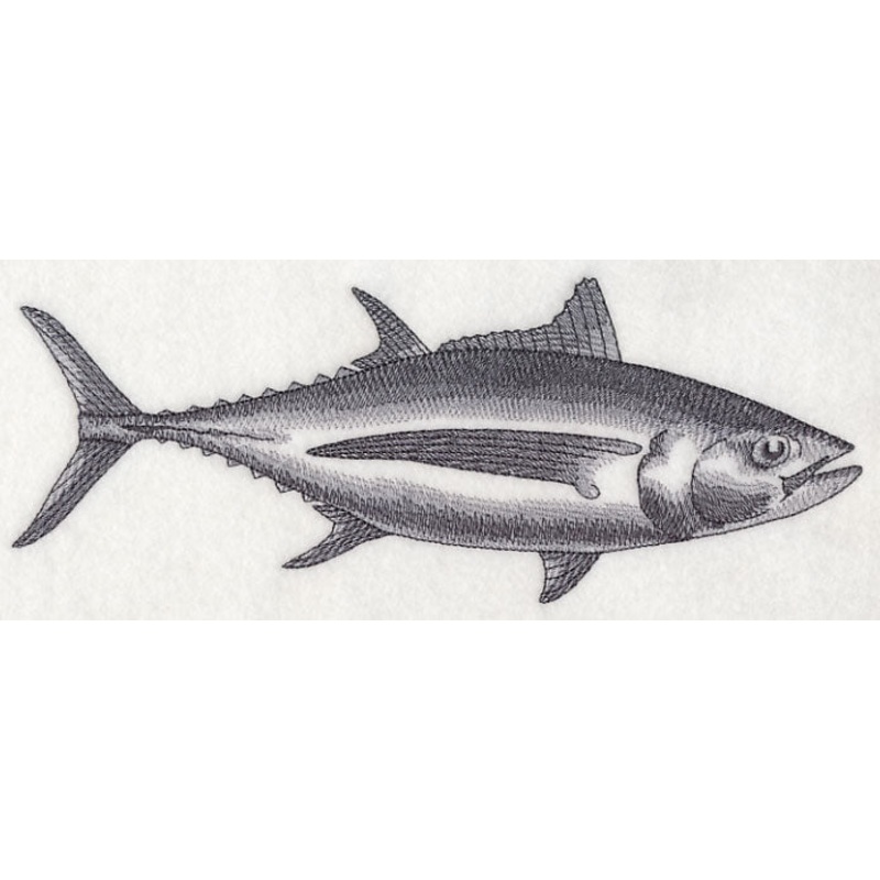 Albacore Tuna Sketch|3.64″ x 9.38″ / 92.57mm x 238.29mm|2.66″ x 6.84″ / 67.47mm x 173.68mm|1.5″ x 3.86″ / 38.16mm x 98.17mm|All Sizes