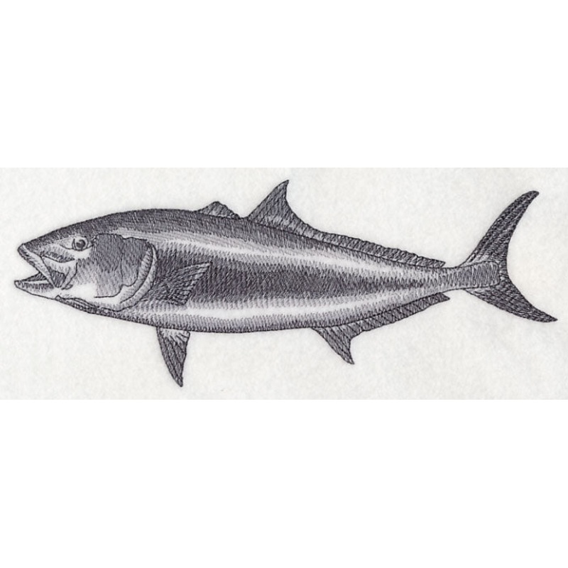 Amberjack Sketch|3.64″ x 9.38″ / 92.34mm x 238.31mm|2.65″ x 6.84″ / 67.38mm x 173.82mm|1.5″ x 3.87″ / 38.09mm x 98.3mm|All Sizes
