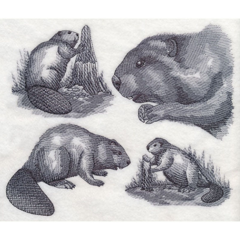 Beaver Sketch|6.61″ x 7.8″ / 167.96mm x 198.09mm|5.86″ x 6.9″ / 148.95mm x 175.32mm|4.86″ x 5.74″ / 123.37mm x 145.84mm|All Sizes